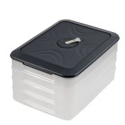 Контейнер многоуровневый для заморозки и хранения RUNIS 4 яруса графит